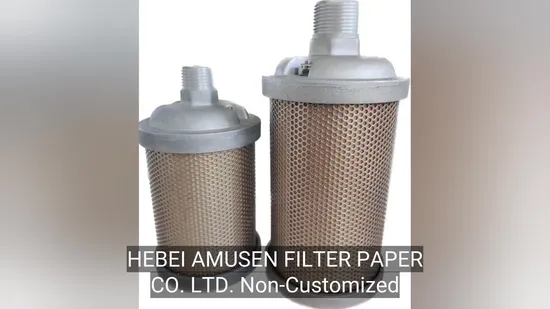 Non-Customized Amusen China Vacuum Pump Exhaust Air Dryer Connector Defogger Mufflers